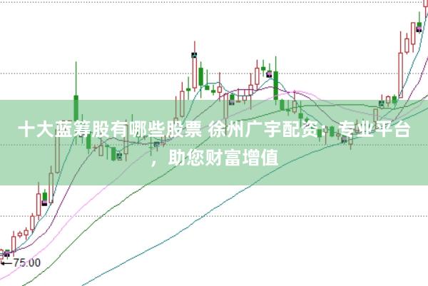 十大蓝筹股有哪些股票 徐州广宇配资：专业平台，助您财富增值