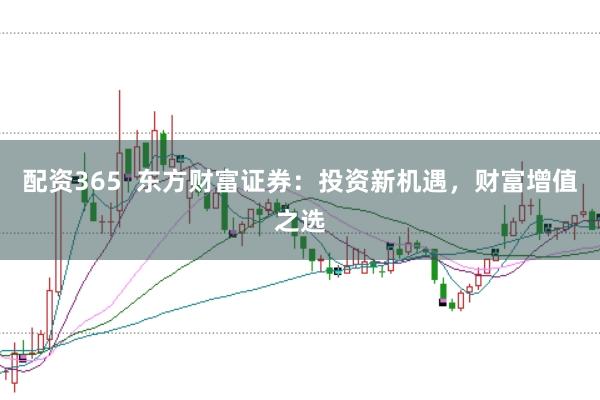 配资365  东方财富证券：投资新机遇，财富增值之选