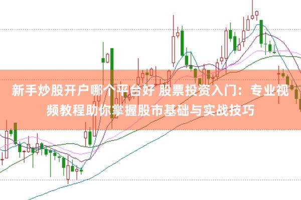 新手炒股开户哪个平台好 股票投资入门：专业视频教程助你掌握股市基础与实战技巧