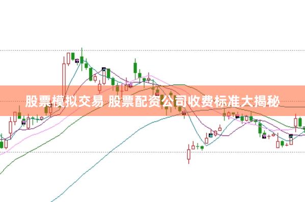 股票模拟交易 股票配资公司收费标准大揭秘