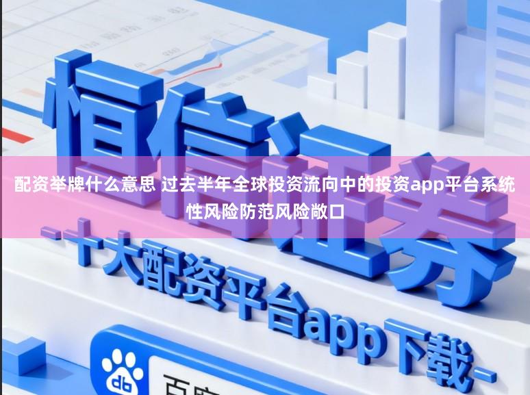 配资举牌什么意思 过去半年全球投资流向中的投资app平台系统性风险防范风险敞口