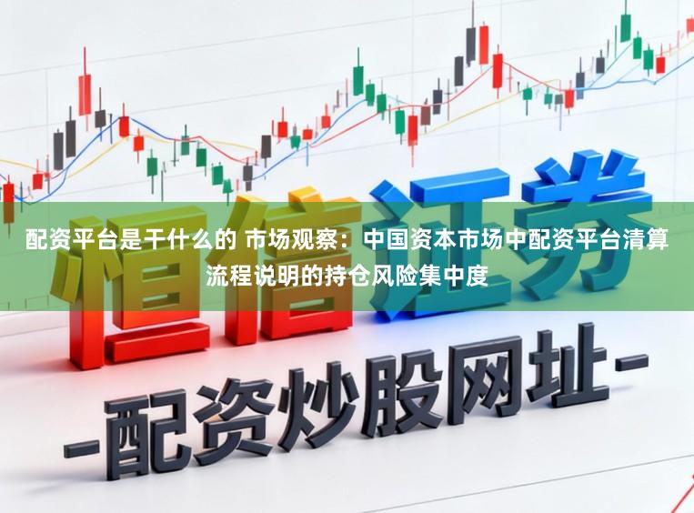 配资平台是干什么的 市场观察：中国资本市场中配资平台清算流程说明的持仓风险集中度