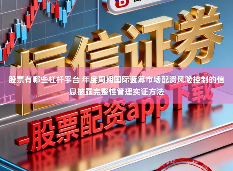 股票有哪些杠杆平台 年度周期国际蓝筹市场配资风险控制的信息披露完整性管理实证方法