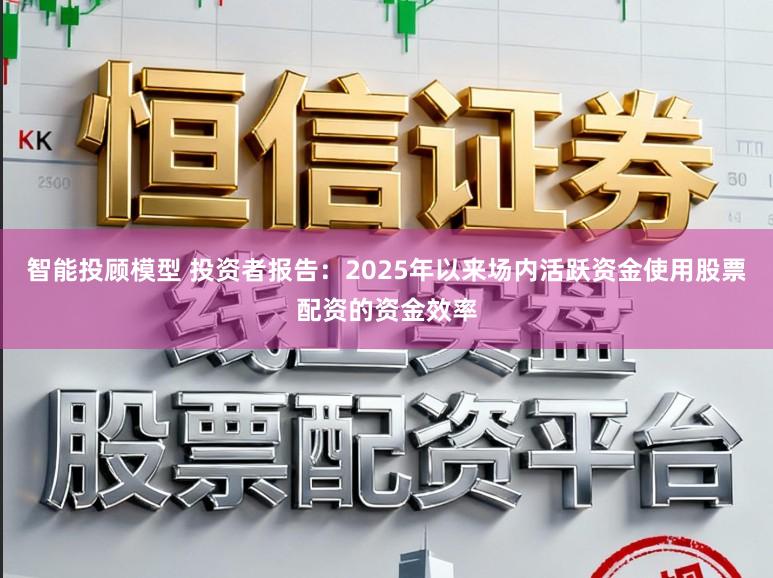 智能投顾模型 投资者报告：2025年以来场内活跃资金使用股票配资的资金效率